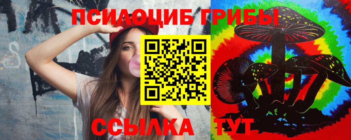 где найти наркотики  Вход с VPN  Пенза  Галлюциногенные грибы мухоморы 