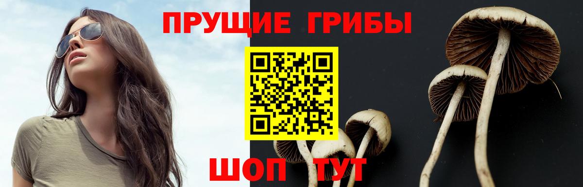 Псилоцибиновые грибы ЛСД Пенза